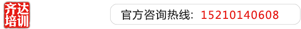 少妇的小骚逼齐达艺考文化课-艺术生文化课,艺术类文化课,艺考生文化课logo